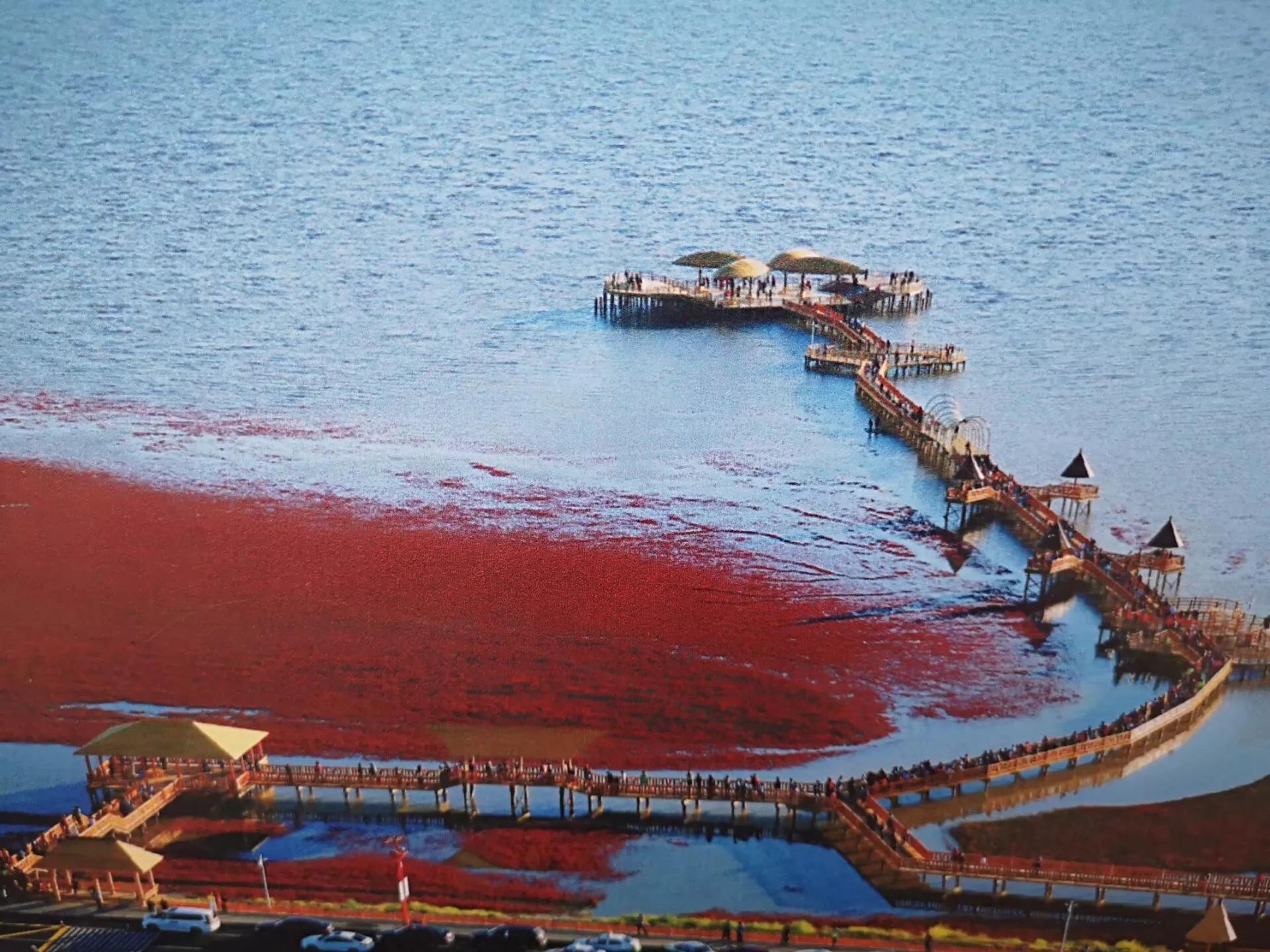 盘锦,亲爱的听众朋友们