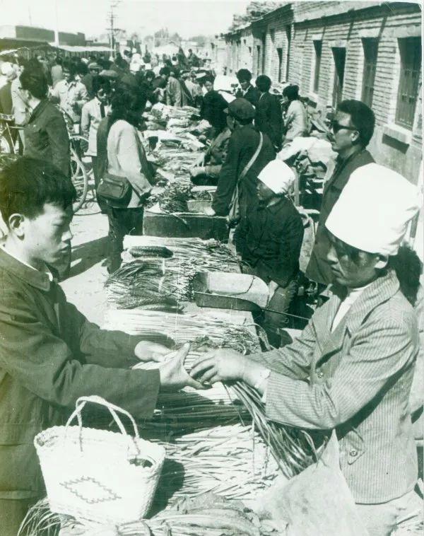 乌海,邂逅自然之温柔